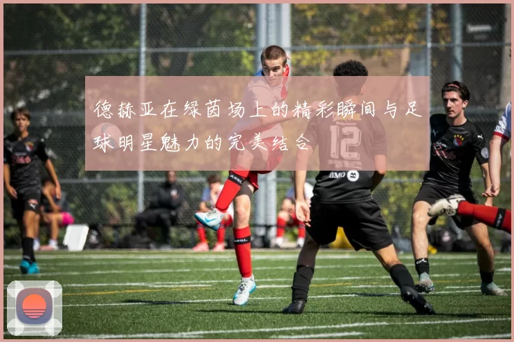 德赫亚在绿茵场上的精彩瞬间与足球明星魅力的完美结合