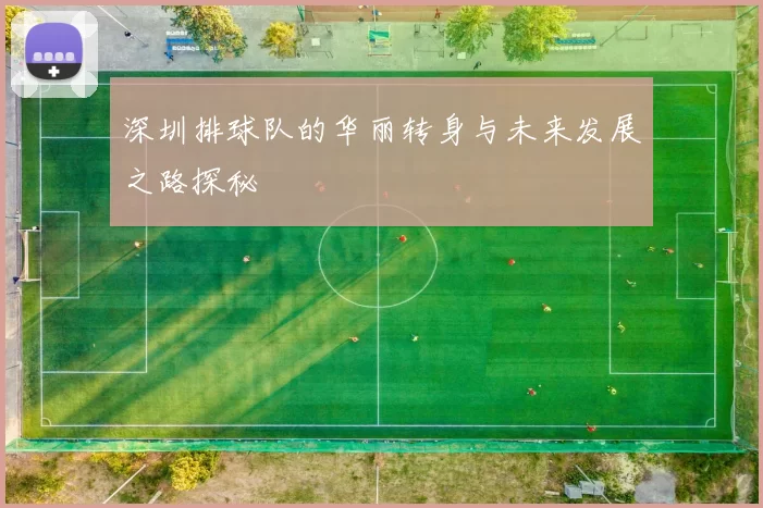 深圳排球队的华丽转身与未来发展之路探秘