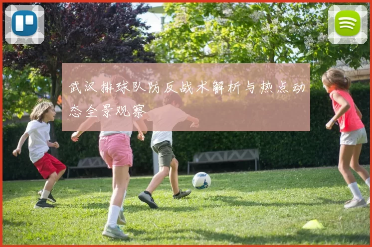 武汉排球队防反战术解析与热点动态全景观察