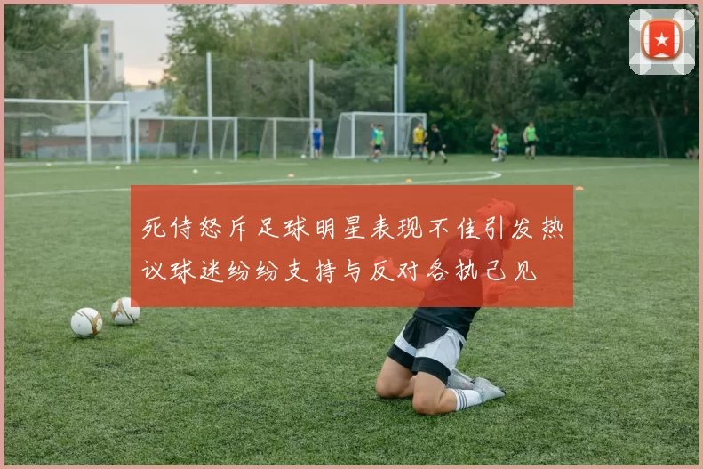 死侍怒斥足球明星表现不佳引发热议球迷纷纷支持与反对各执己见