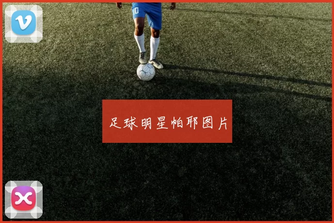 足球明星帕耶图片