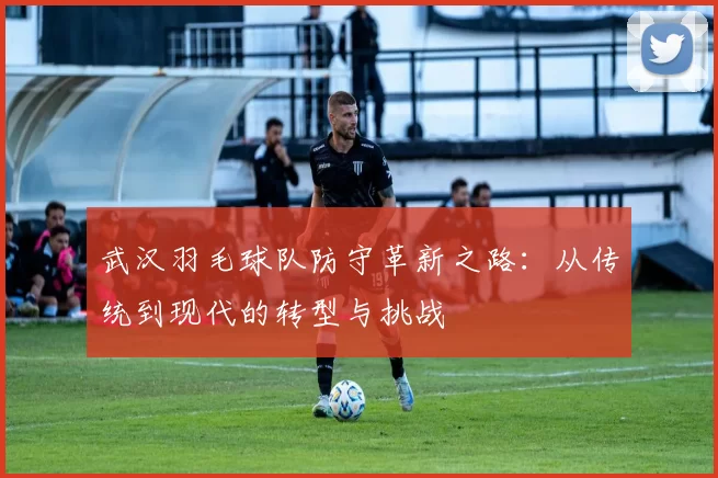 武汉羽毛球队防守革新之路：从传统到现代的转型与挑战