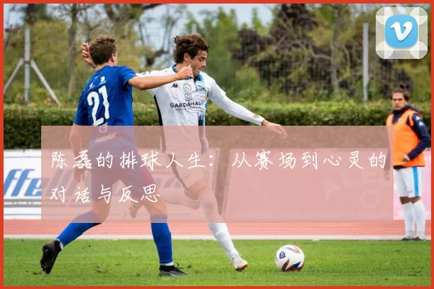 陈磊的排球人生：从赛场到心灵的对话与反思