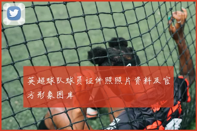 英超球队球员证件照照片资料及官方形象图库