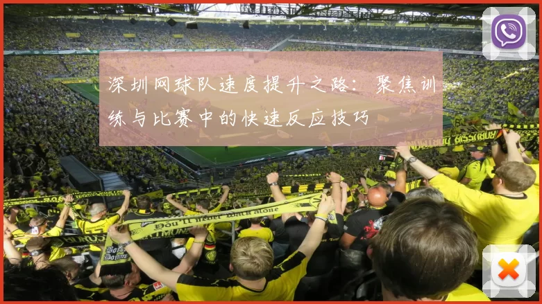深圳网球队速度提升之路：聚焦训练与比赛中的快速反应技巧