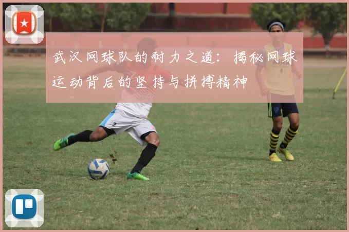 武汉网球队的耐力之道：揭秘网球运动背后的坚持与拼搏精神