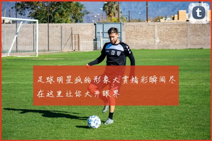 足球明星疯狗形象大赏精彩瞬间尽在这里让你大开眼界