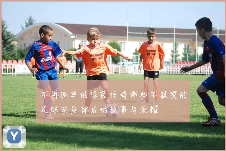 不再孤单的绿茵传奇那些不寂寞的足球明星背后的故事与荣耀