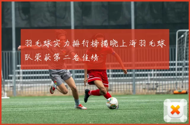 羽毛球实力排行榜揭晓上海羽毛球队荣获第二名佳绩