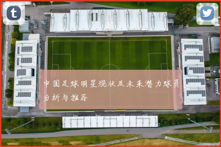 中国足球明星现状及未来潜力球员分析与推荐