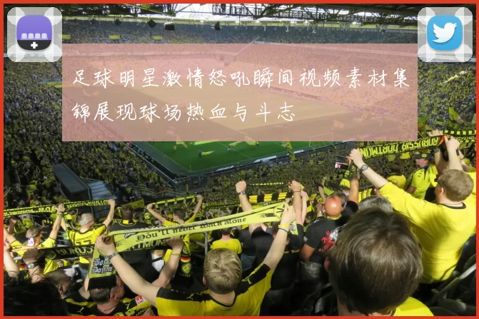足球明星激情怒吼瞬间视频素材集锦展现球场热血与斗志