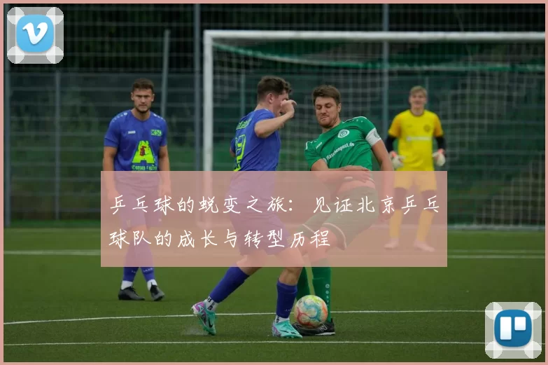 乒乓球的蜕变之旅：见证北京乒乓球队的成长与转型历程